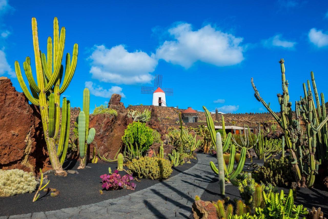 The Birds House, Large Terrace With Garden View Costa Teguise Exterior foto